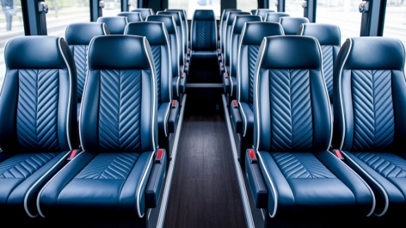 naperville 15 passenger minibus rental