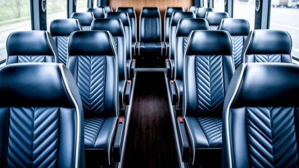 naperville 18 passenger minibus rental