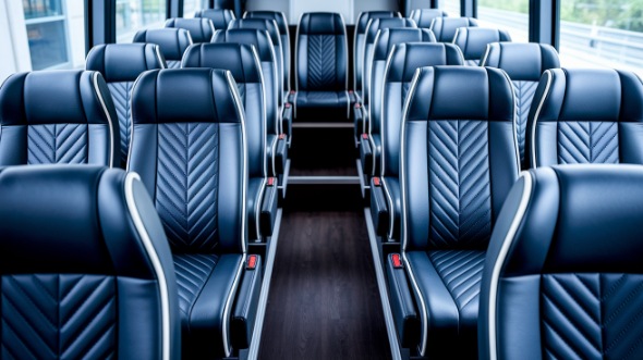 naperville 20 passenger minibus inside