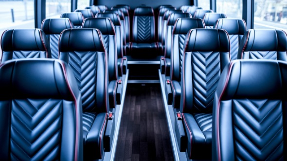 naperville 20 passenger minibus rental
