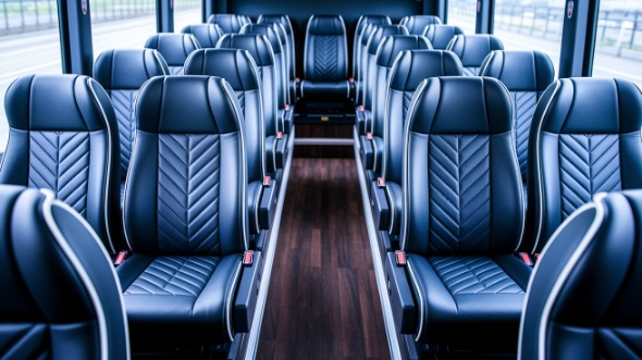 naperville 28 passenger minibus rental