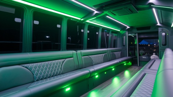 naperville party bus rental rental