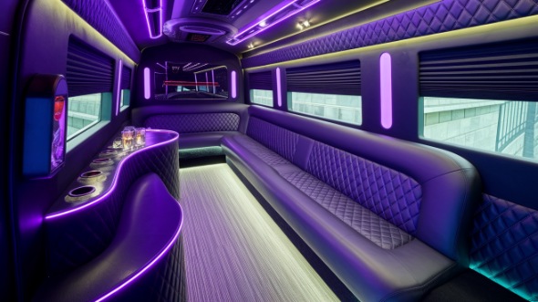 naperville sprinter limo rental inside